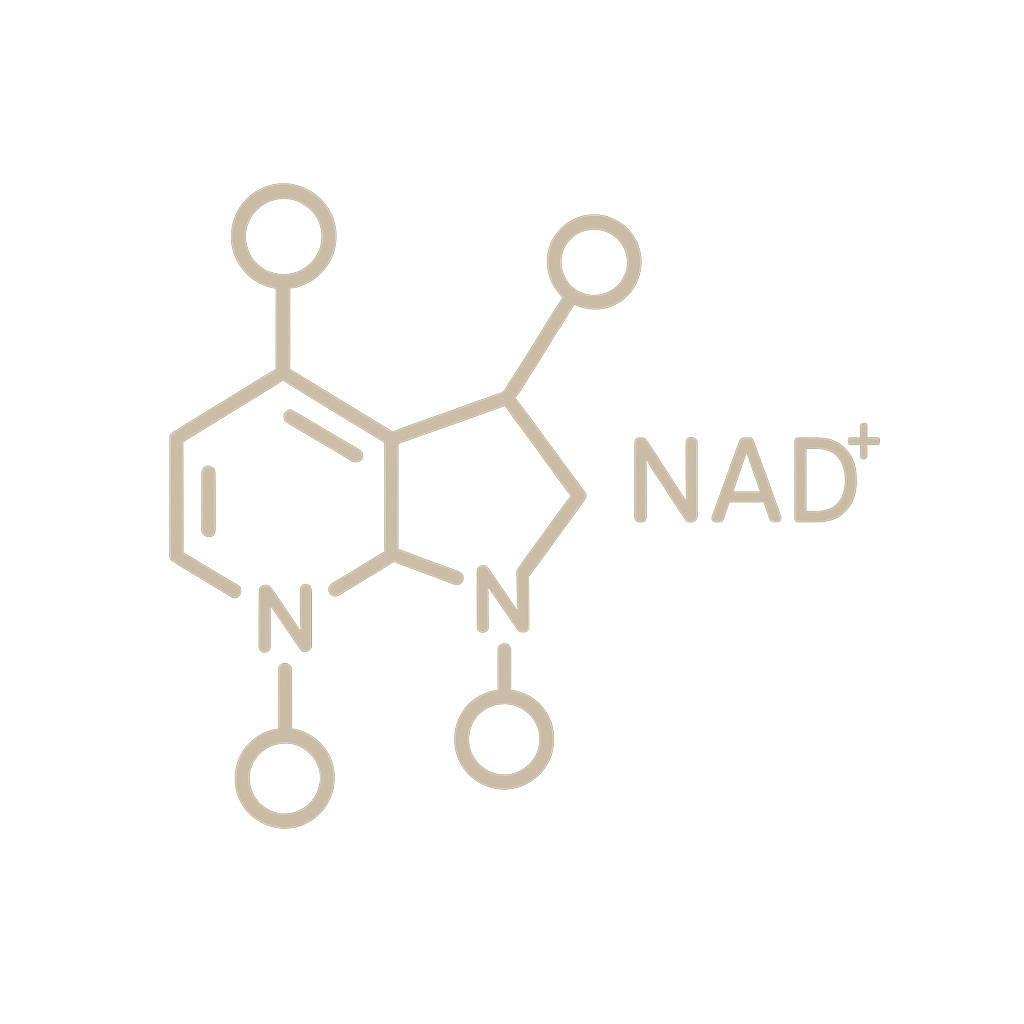 NAD+
